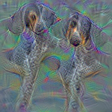 n02088466 bloodhound, sleuthhound